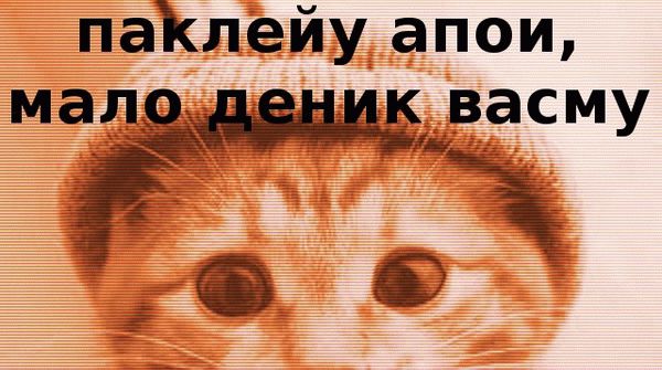 Котенок в шляпе.