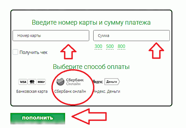 Пополнить карту Зонателеком через Сбербанк онлайн