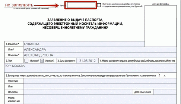 Как заполнить анкету на загранпаспорт нового образца